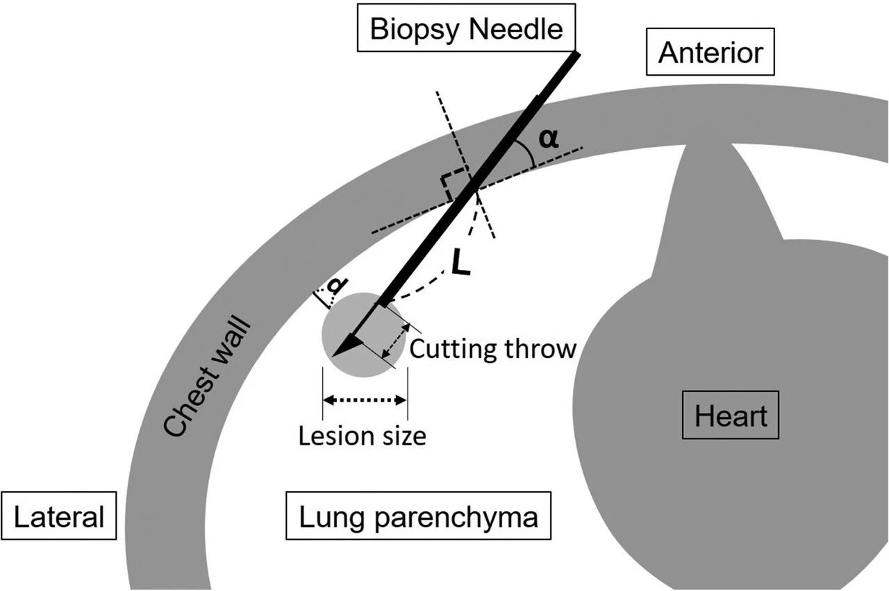 17645539697891.png 17645539697891.png