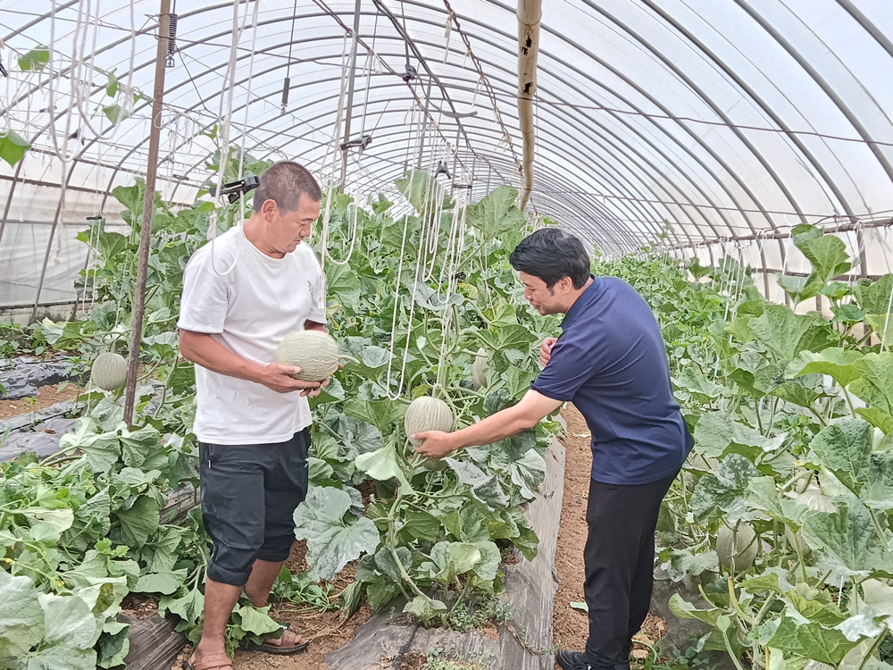 16899302845977.png 16899302845977.png