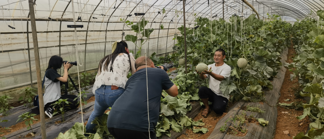 16899303158113.png 16899303158113.png