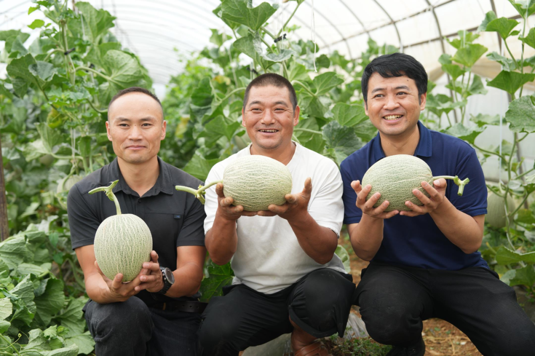 16899303158966.png 16899303158966.png