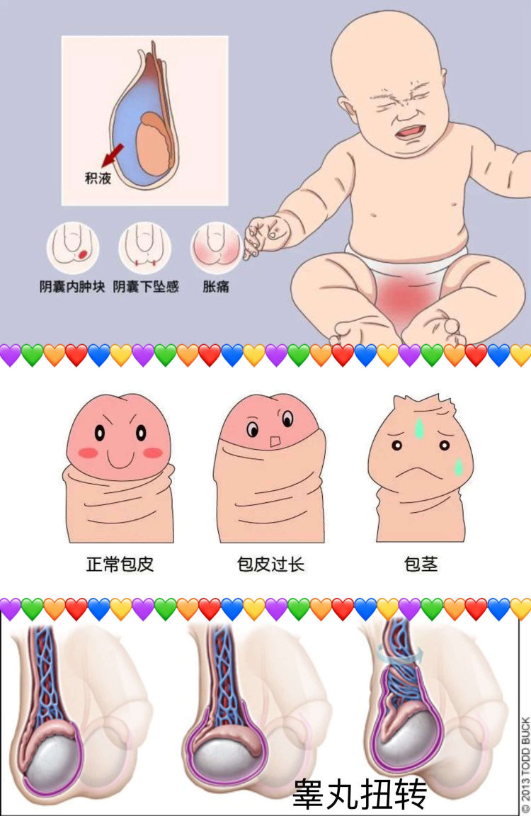 16922353327887.png 16922353327887.png