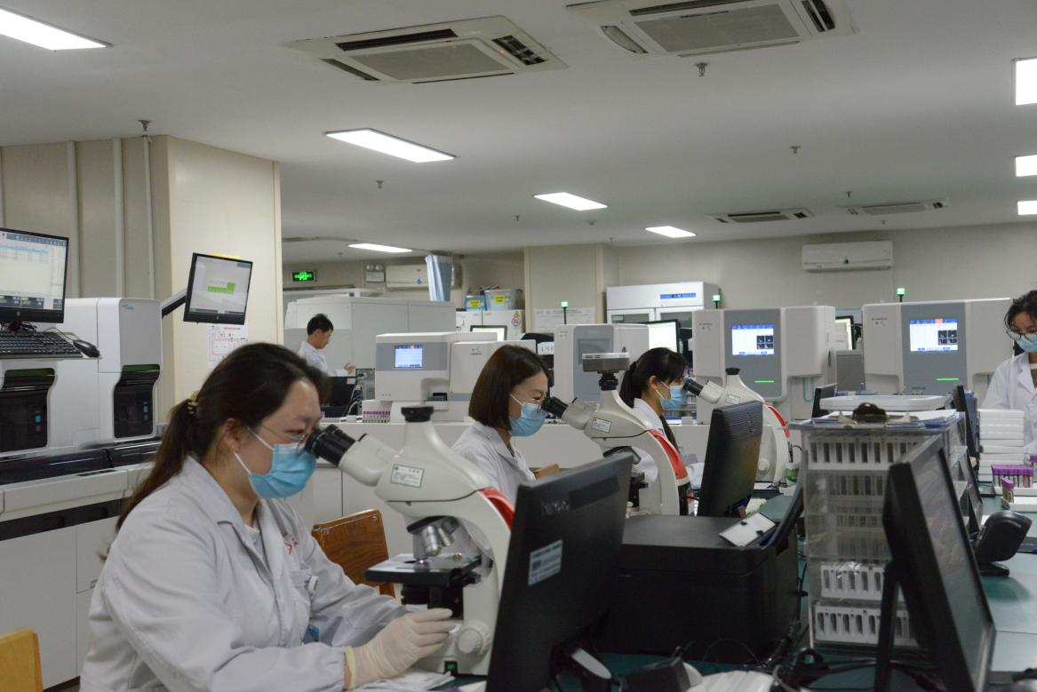 16923273293147.png 16923273293147.png