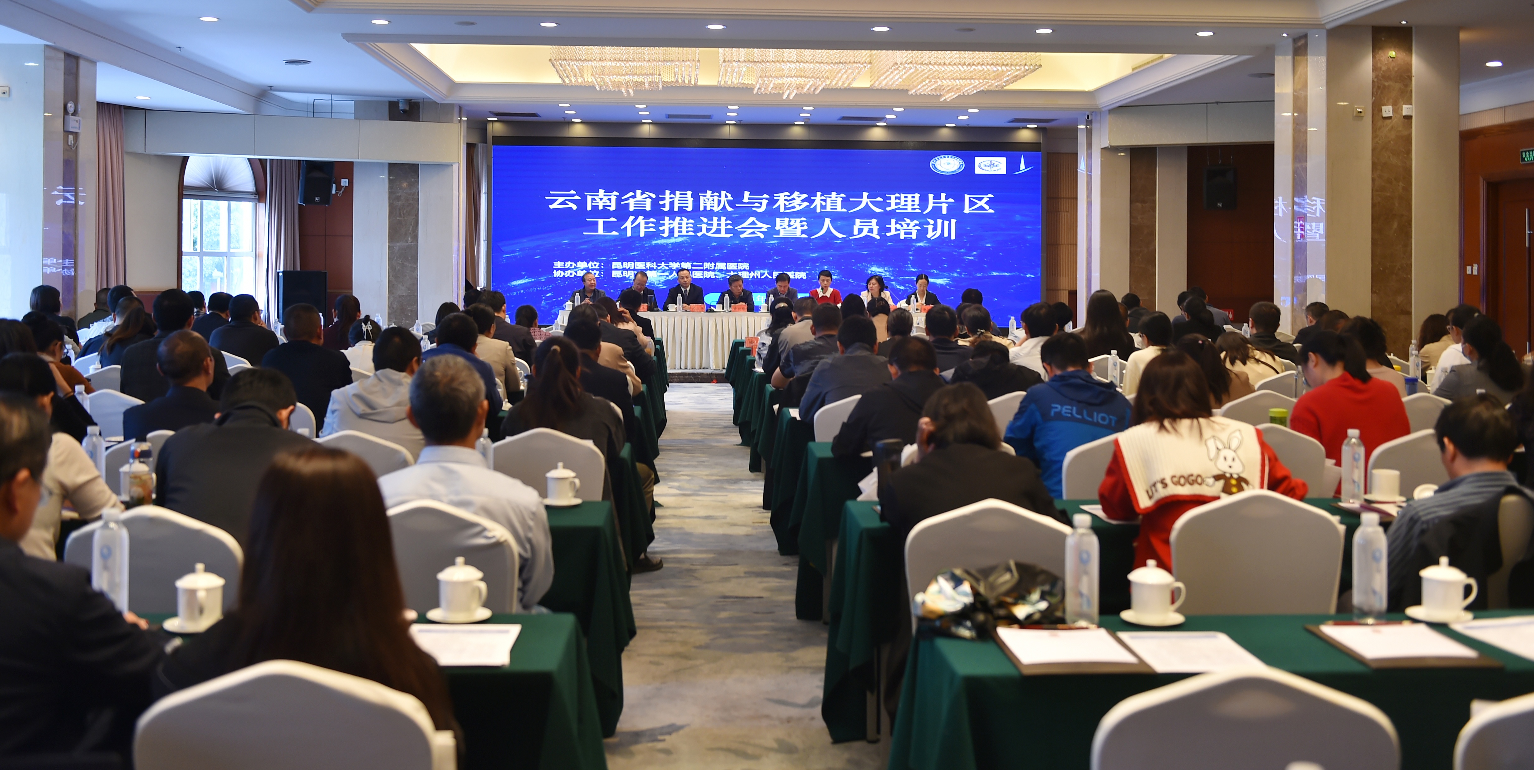 16937931546216.jpg 16937931546216.jpg