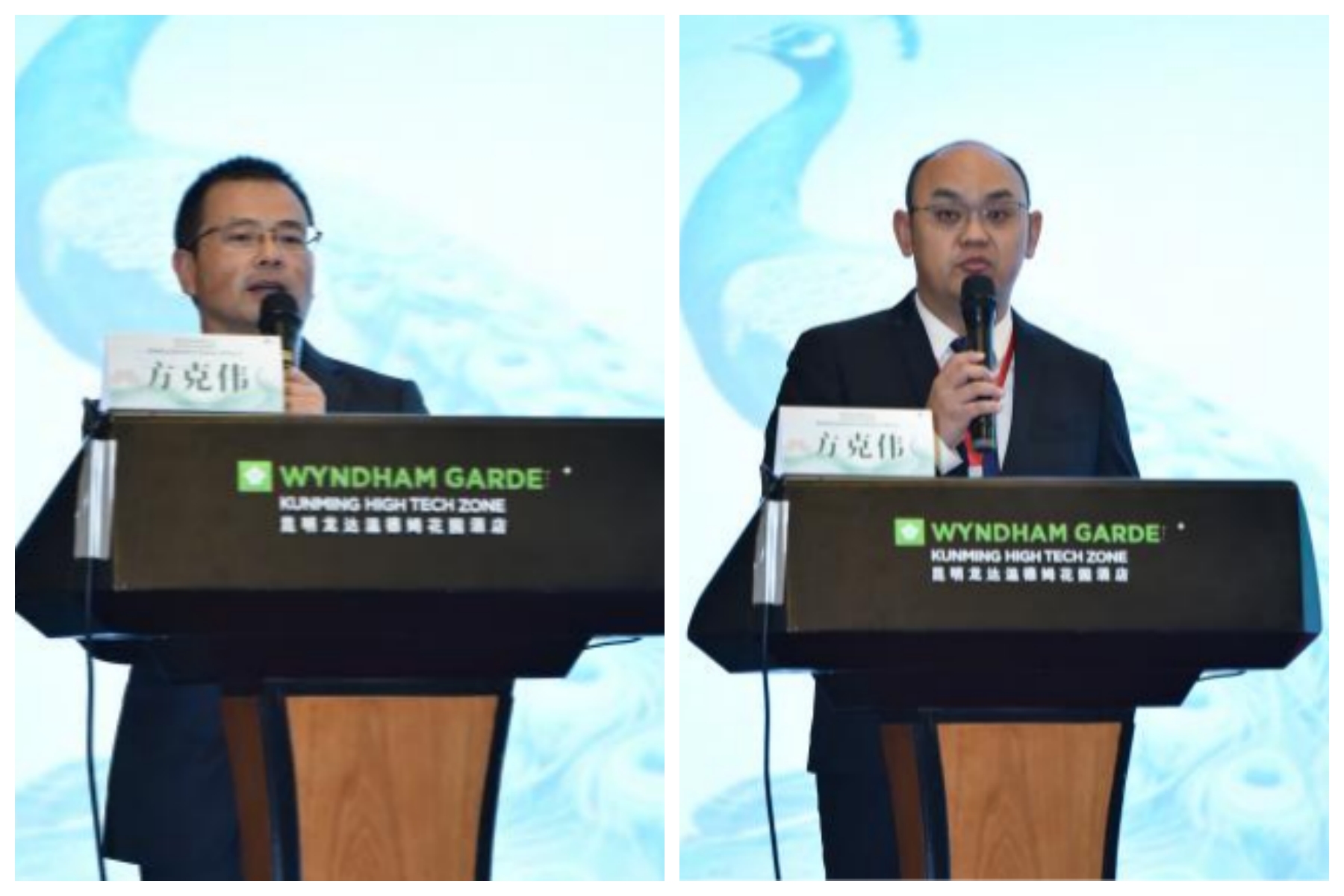 17563412962524.jpg 17563412962524.jpg